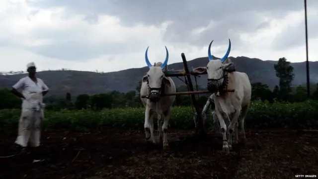 ਕਿਸਾਨ ਅੰਦੋਲਨ