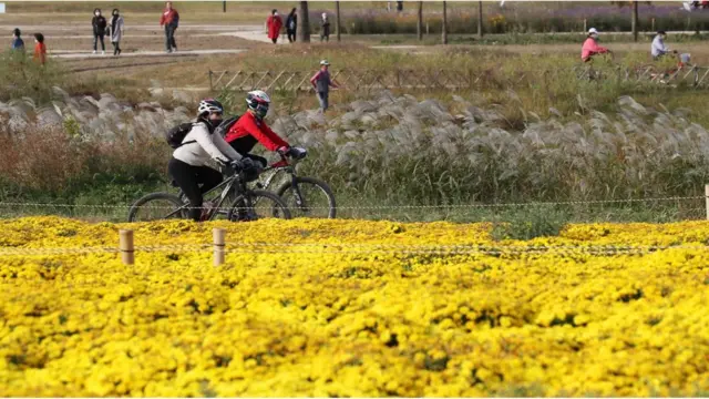 지난 2020년 날씨는 어땠을까? 완연한 가을 날씨를 보이는 1년 여전인 지난해 10월 19일 울산 태화강 국가정원을 찾은 시민들이 활짝 핀 노란 국화를 감상하고 있다