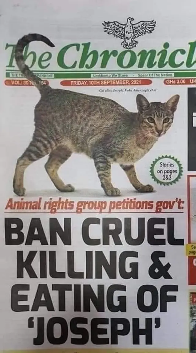 Wito wa kupiga marufuku ulaji wa paka