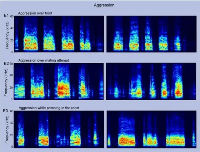 Gráficos de la investigación