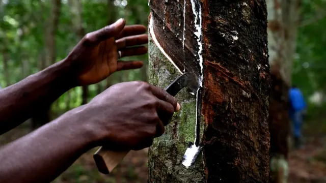 کنڈوم، ماحولیاتی تبدیلی، جرمنی، سیکس،