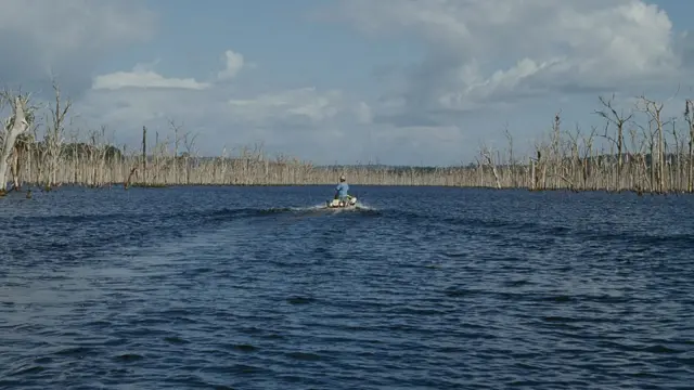 ব্রাজিলের বালবিনায় একটি বাঁধ নির্মাণের জন্য প্রায় ৩,০০০ বর্গকিলোমিটার এলাকা পানিতে তলিয়ে দেয়া হয়। এই জায়গায় একসময় জাগুয়ার বিচরণ করতো।
