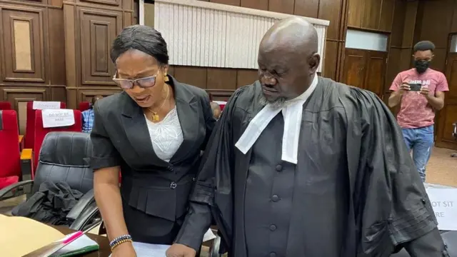 Federal goment lawyers