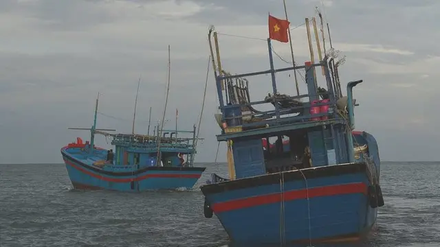 Thuyền cá Việt Nam