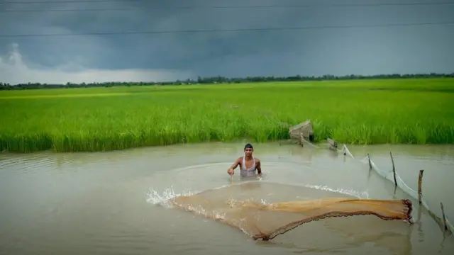 تیزی سے بڑھتی ہوئی انسانی سرگرمیوں سے انڈیا کے باقی بچے ہوئے گیلے یا مرطوب علاقے ختم ہوتے جا رہے ہیں