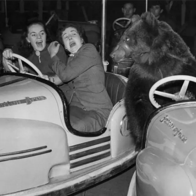Mujeres asustadas al ver un oso (crédito: Getty Images)