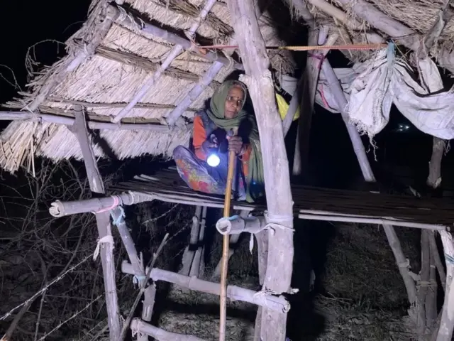 शेतात पहारा देणाऱ्या विमला कुमारी