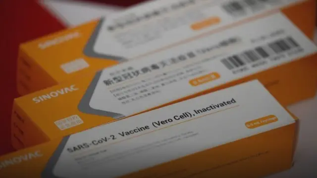 Sinovac Biotech, vaksin, Covid 19, virus corona, vaksin asal China