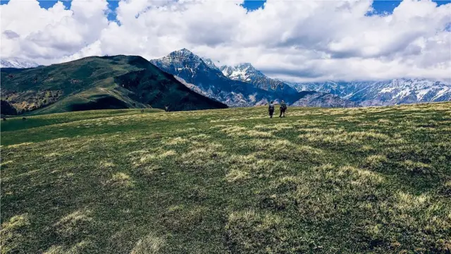 The trek passes through alpine pastures that can only be found above 3,300m in the Himalayas (Credit: Mayank101/Getty Images)