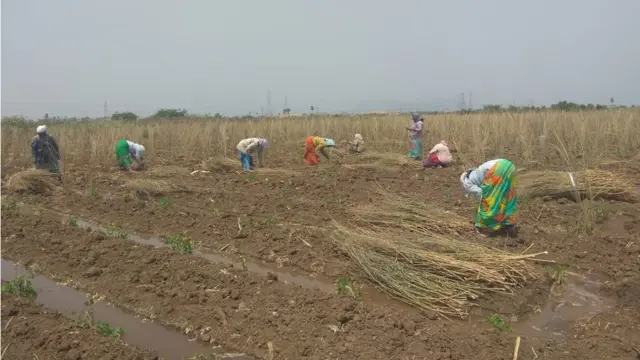 అమరావతి ప్రాంతంలో కూలీలు