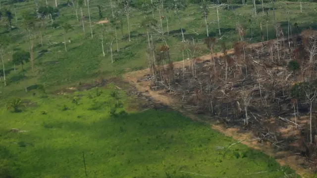 Imagem aérea mostra terreno desmatado e, parte dele, queimado