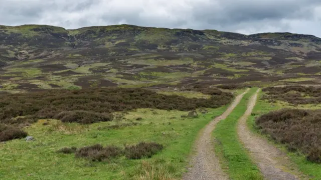 Дорога на вересковой пустоши