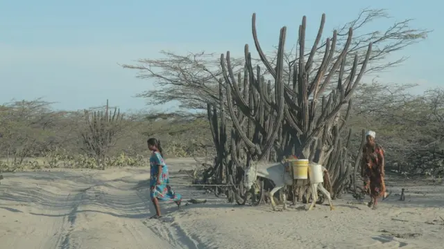 Mujeres con un burro en el desierto (Foto: Natalio Cosoy/ BBC Mundo)