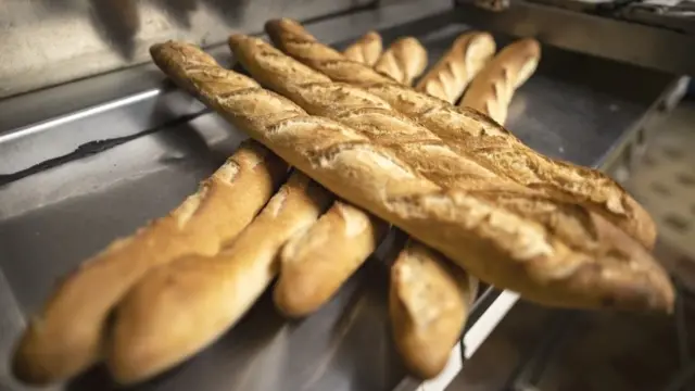 باگت