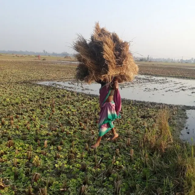 बीबीसी हिन्दी