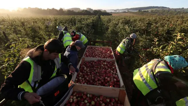 کارگران مهاجر در بریتانیا