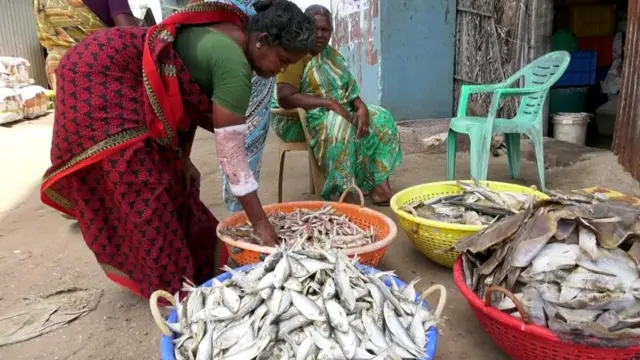 மீனவப் பெண்களின் வாழ்வாதாரமான மீன் விற்பனை தொழில் பாதிப்பு