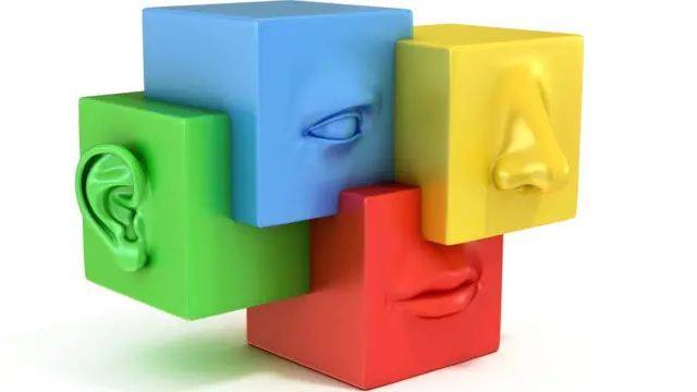 Oreja, ojo, nariz, boca.