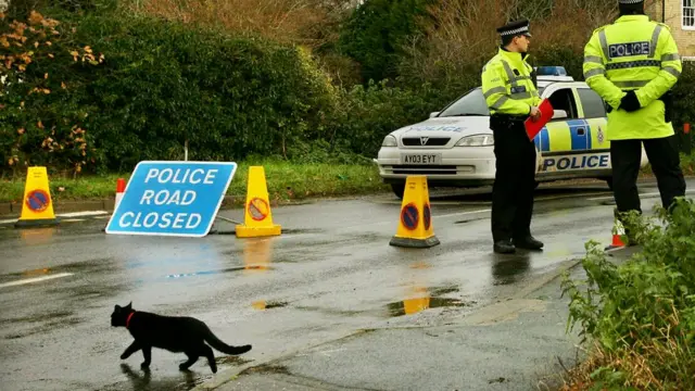 Кошке ведь не скажешь, что на улицах Лондона для нее опасно...