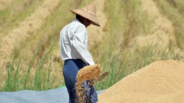 ဆန်နဲ့ အခြေခံစားသုံးကုန်တွေ စျေးတက်