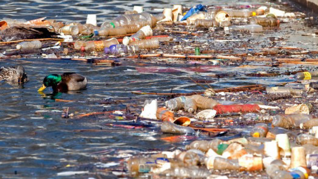 Why Pepsi is getting sued over plastic pollution by New York state