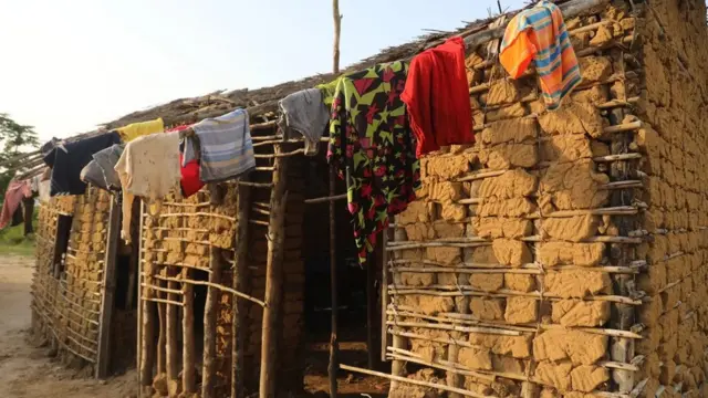 ربطت دراسات بين منح أفراد المجتمع حقوق ملكية الأراضي وبين انخفاض وتيرة إزالة الأشجار في غابات حوض الكونغو المطيرة