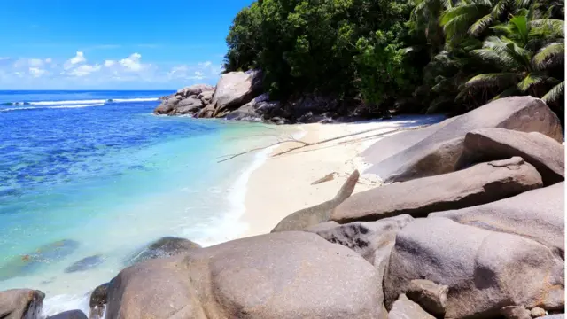 Pantai dengan pasir putih di Pulau Moyenne, Seychelles