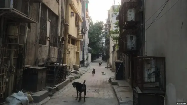 В Дели сейчас почти все закрыто на карантин