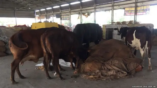 Ferozepur farmers protest mandi
