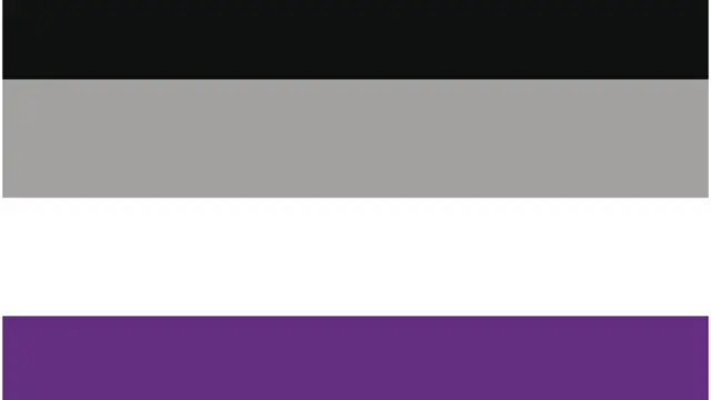 پرچم هیچجنسگرایان