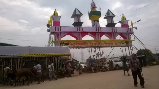 দরজায় কড়া নাড়ছে কোরবানি ঈদ, গবাদি পশুর হাট এখন জমে ওঠার অপেক্ষায়।