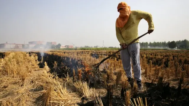 پنجاب کاایک کسان