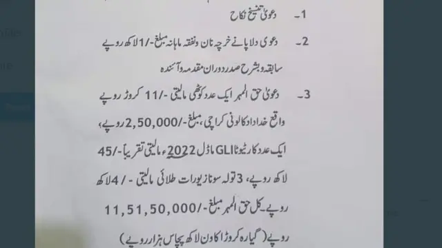 عامر، دانیہ