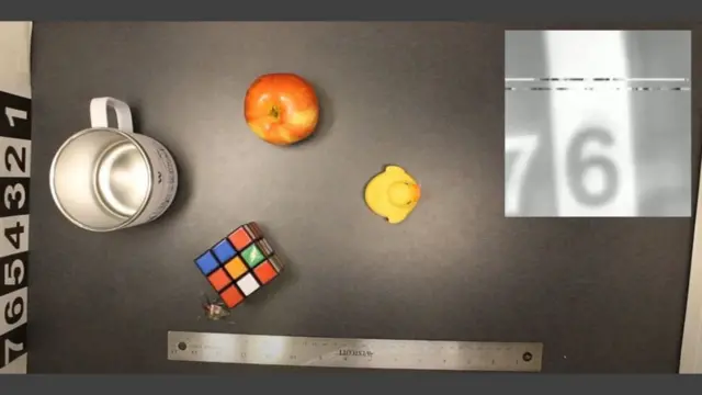 బీటిల్ మీద కెమెరా