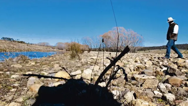 كيف تسهم الأعشاب الضارة في مكافحة التغير المناخي؟