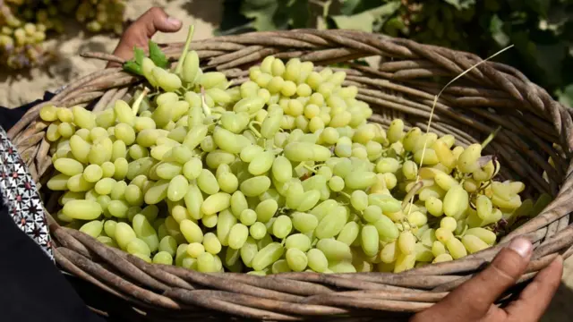 انګور