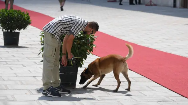 Служебная собака