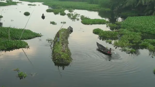 તરતાં ખેતરો