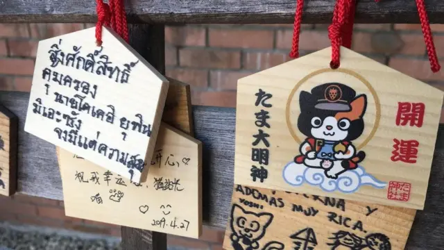 القطة التي أنقذت خطا للسكك الحديدية في اليابان