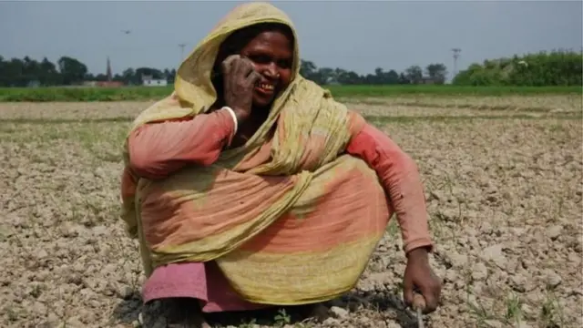 গ্রাহক চাইলে এখন আর অপারেটর পরিবর্তন করলেও মোবাইল নম্বর পরিবর্তন হবে না