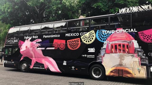 Ônibus com desenho de axolote