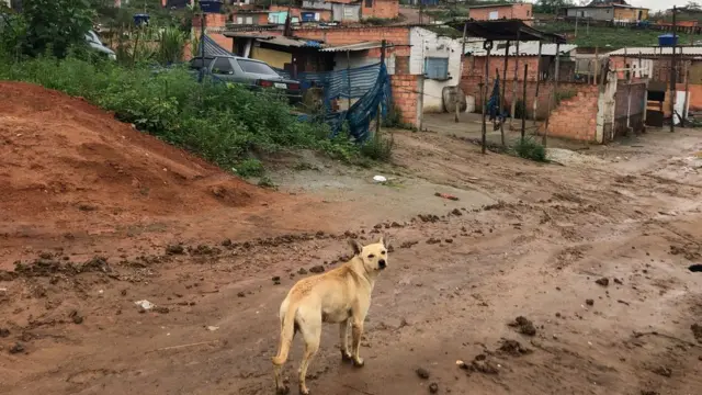 Terraesporte esportivaDeus