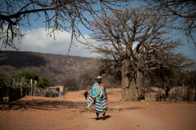 બાઓબાબના ઝાડ પાસ આફ્રિકન મહિલા