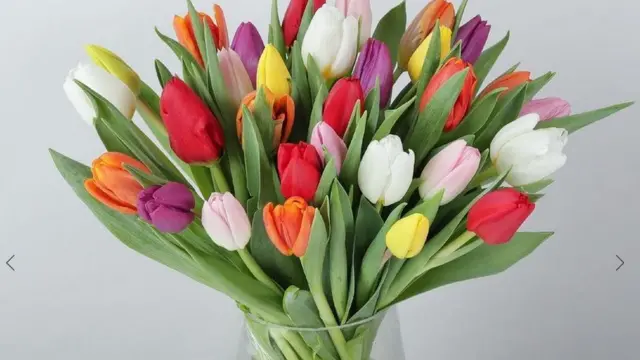 Фото с сайта arenaflowers.com