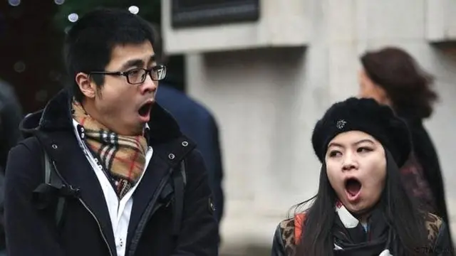 हे छायाचित्र बघून तुम्हाला जांभई आली का?