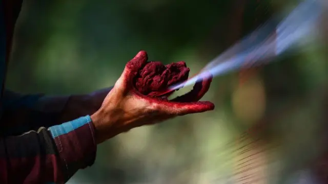 उत्तर प्रदेश