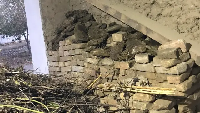 Ўзбекистон қишлоғи