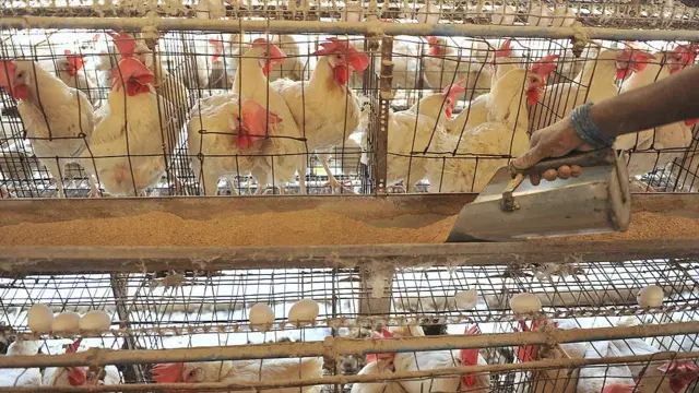 கோப்புப்படம்