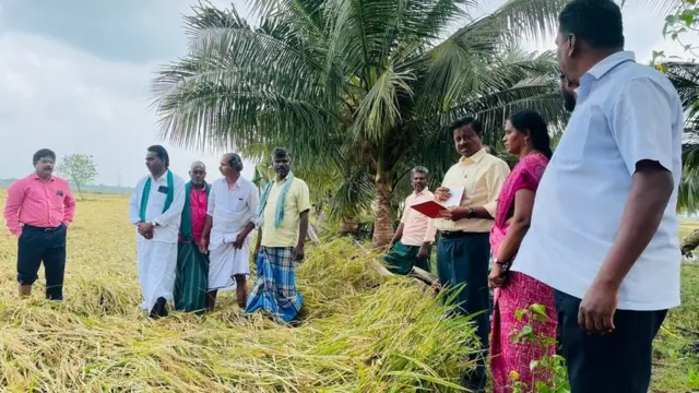 பருவம் தப்பிப் பெய்த மழையால் நெற்பயிர்கள் சேதம்: அரசின் நிவாரணம் போதுமானதா?