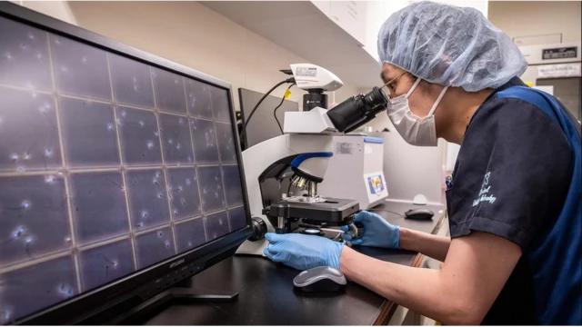 باحث في إحدى المختبرات الطبية يفحص حيوانات منوية بالمهجر